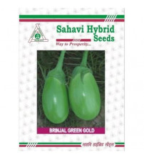 Brinjal Green Gold 10 grams